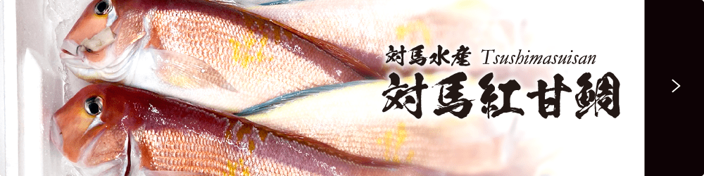 対馬の甘鯛