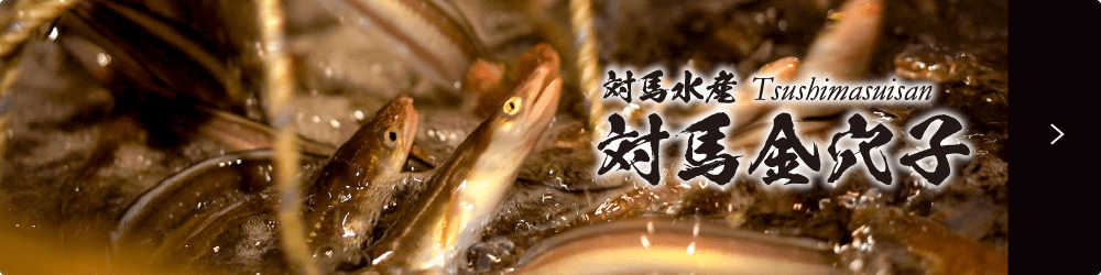 対馬の穴子