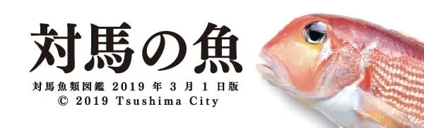 対馬の魚図鑑(PDF)