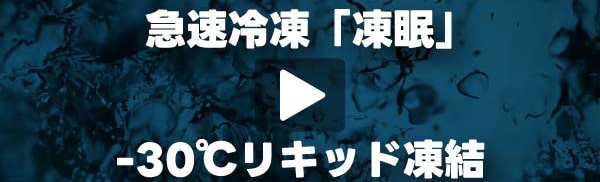 凍眠 紹介動画