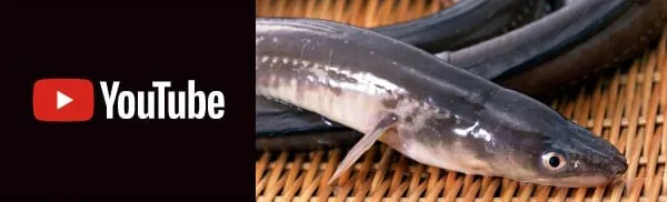 対馬水産 YouTubeチャンネル