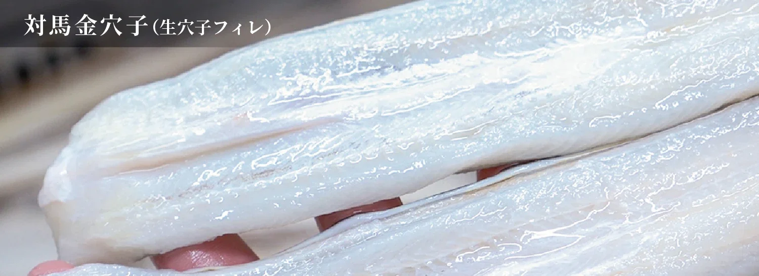 対馬金穴子（生穴子フィレ）