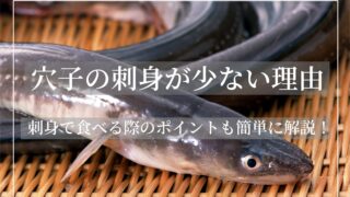 穴子