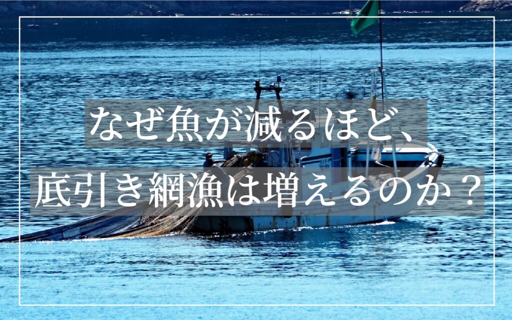 底引き網漁