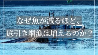 底引き網漁