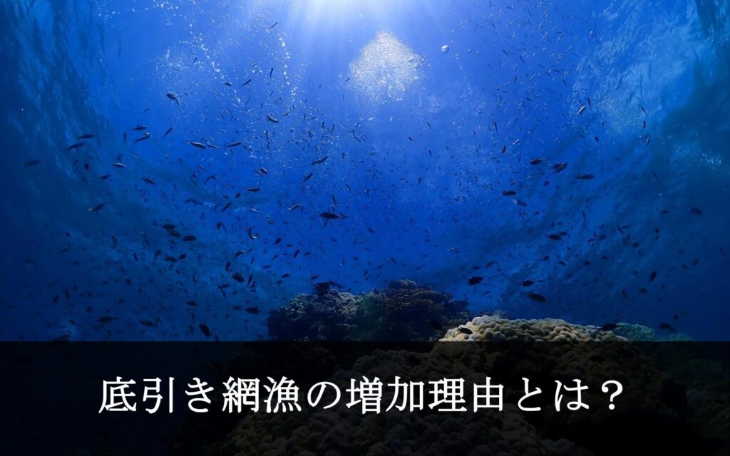 海底