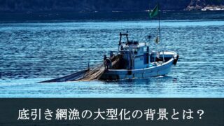 底引き網漁